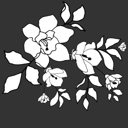 Black and white floral pattern with hand draw sping flower. Vector 10 EPS for your creative designのイラスト素材