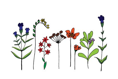 Set of different hand draw sping flower. Vector 10 EPS for your creative designのイラスト素材
