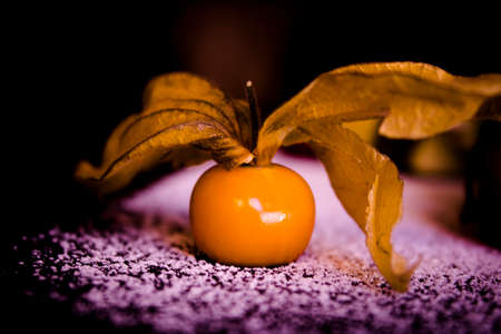 Small yellow orange tomato with branch on snowの写真素材
