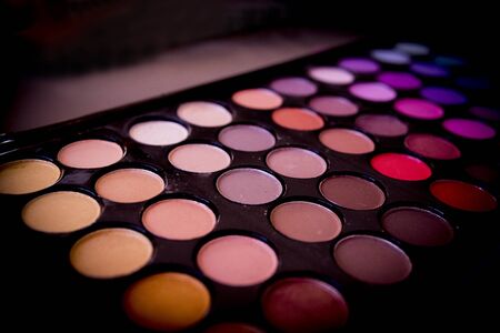 Professional cosmetics. Eye shadow,rouge,powder.の写真素材