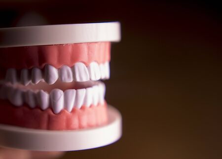 Denture for students on colored backgroundの写真素材