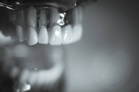 Denture for students on colored backgroundの写真素材
