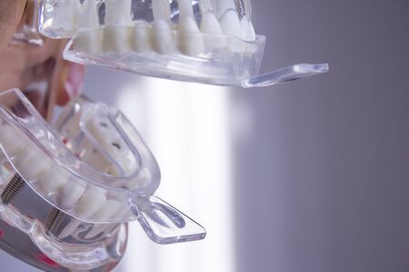 Silicone molds to make dentures inside a false mouth
