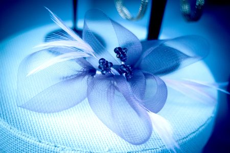Decoration for the hairstyle of a woman as a wedding guestの写真素材