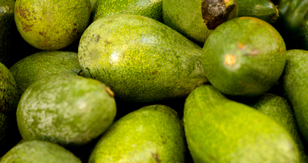 Varied vegetable Peppers, zucchini, tomatoes. No peopleの写真素材