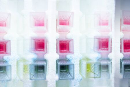 Reactive tests in the laboratory. Virus.の写真素材