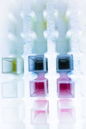 Reactive tests in the laboratory. Virus.