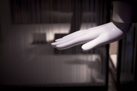 White mannequin hand. Palm down. No peopleの写真素材