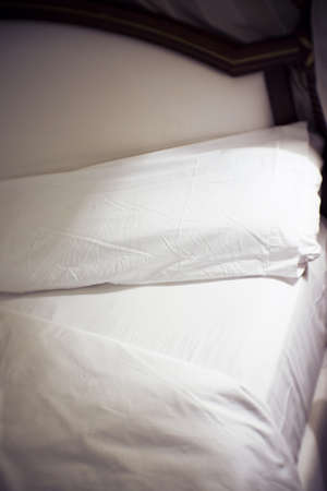 Open bed with bed sheets off. No people