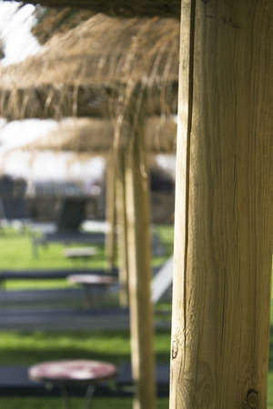 Sun loungers on the lawn. Straw umbrellas. No peopleの写真素材