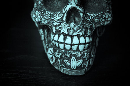 False bone skull on black background. Copy spaceの写真素材