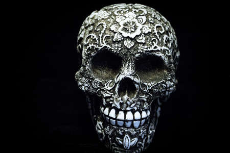 False bone skull on black background. Copy spaceの写真素材
