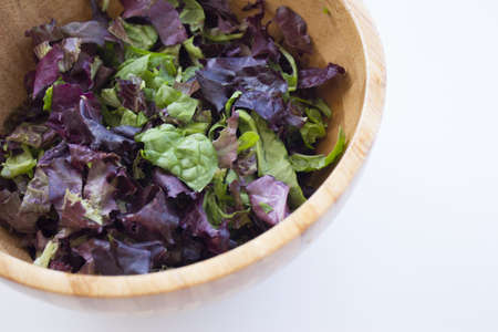 Quinoa, lettuce, lambs lettuce, black olives and cucumber salad. No peopleの写真素材