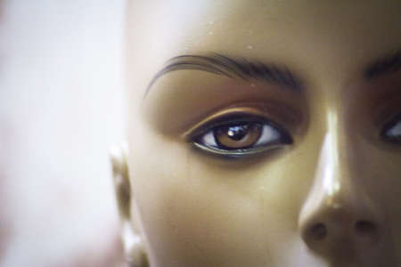 Female eye portrait of a mannequin. No people