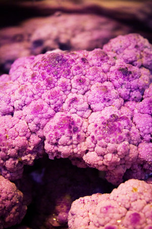Raw purple cauliflower in a saucepan. no peopleの写真素材