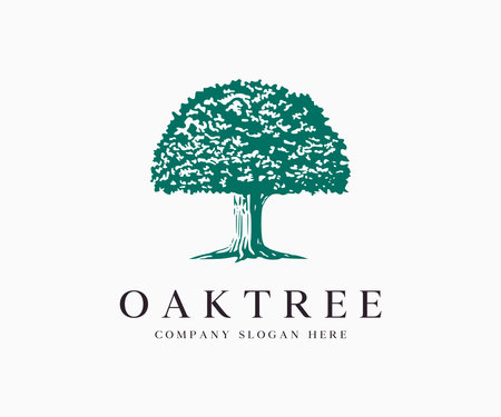 Oak Tree Silhouette Logo Icon Vector Illustration Template Design Editable Resizableのイラスト素材