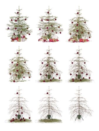 Time lapse - Christmas tree isolated on a white backgroundの写真素材