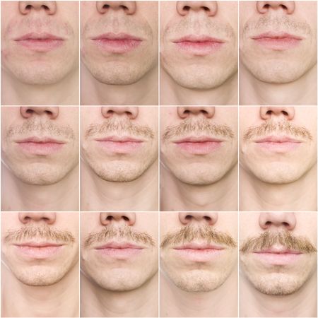 Close up of a mustache growing in 12 days