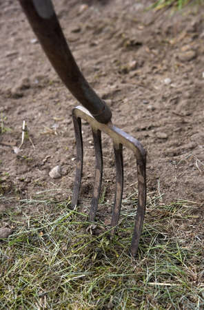 Close up of a Gardening Forkの写真素材