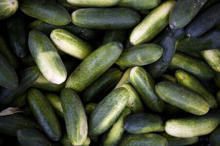 Full Frame of Green Cucumbers