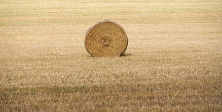 Hay stack on a filedの写真素材