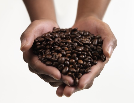 Hands holding Large group of Coffee beansの写真素材