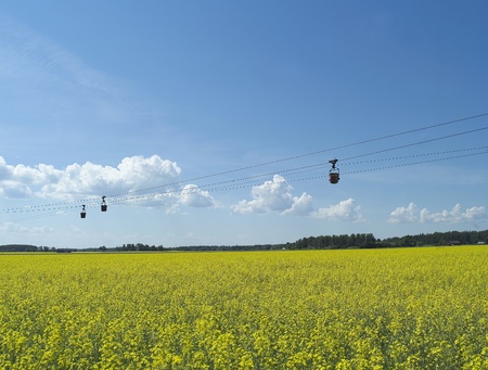 Vintage transportation over summer fieldの写真素材