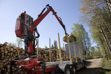 Loading Timber in the forestのeditorial素材