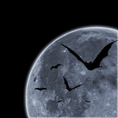 Bats against the moonの写真素材