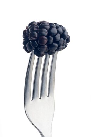 black berry pierced on a fork against plain backgroundの写真素材