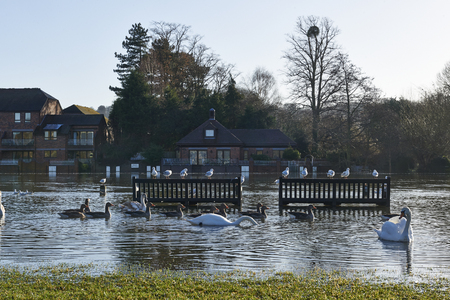 view of bench under flood from Thames river