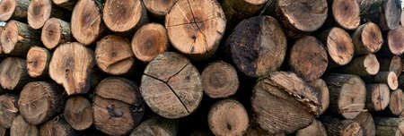 Close up photograph of stacked and cut logs of wood