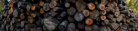 Close up photograph of stacked and cut logs of wood