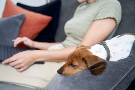 Young woman sitting on sofa at home working on laptop computer with pet dog beside herの写真素材