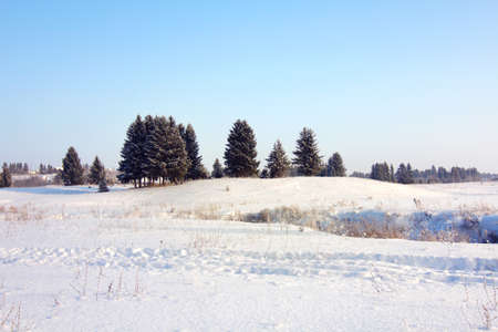 Snowy field with trees in the distanceの写真素材