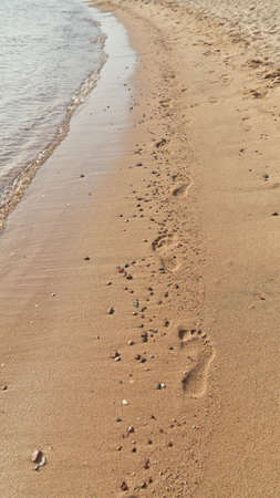  footprints on the sand beach の写真素材
