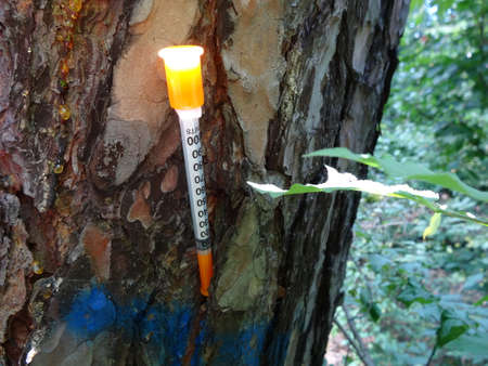 Ecology in Russiaの写真素材