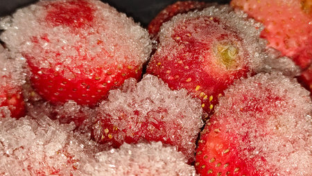Frozen red strawberry covered with iceの写真素材