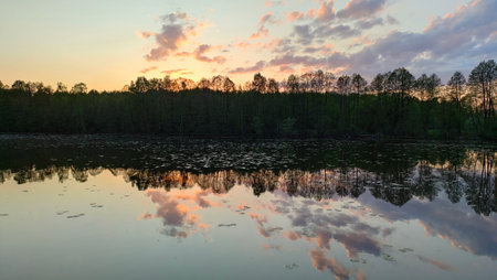 Lake scenery view nature water sky trees forest away from the crowded cities sunny weather summer...
