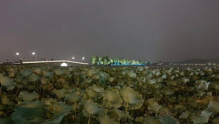 æµæ±æ­å· Hangzhou city picturesque cityscape buildings architecture nature trees sky modern ancient sightseeings tourists traveling business famous historical xihu lake tea museumの写真素材