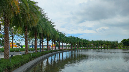 Shenzhen city picturesque views cityscape buildings architecture nature trees sky modern and ancient...