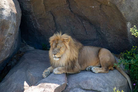 Omaha, Nebraska US, July 10, 2019 Omaha Henry Doorly Zoo  Kids and Family's Having a Fun day at the Zooのeditorial素材