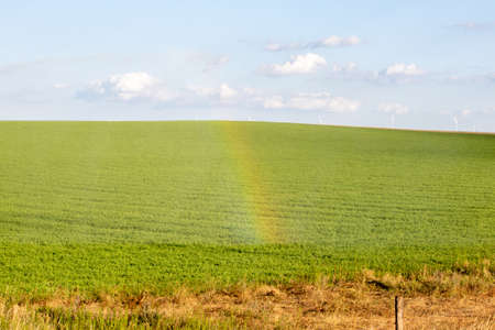 Pivot running in field with beauful rainbow on sunny day . July 22, 2019, ONell, Holt county, Nebraskaのeditorial素材
