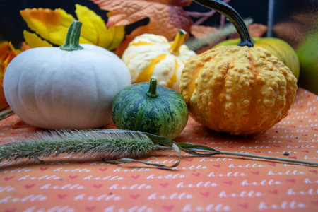 Festive autumn halloween fall harvest background pumpkin's and squash. High quality photoの写真素材