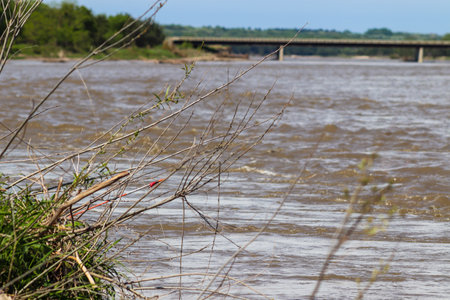 Catfish with Set line fishing alone the Niobrara River in Nebraska . High quality photo