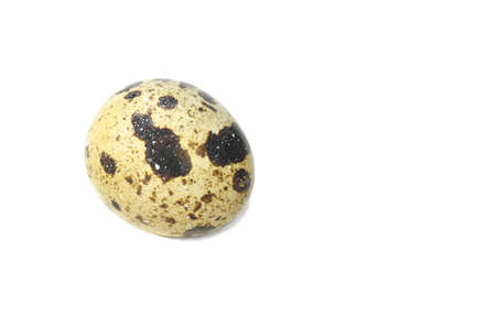 Quail egg isolated on white backgroundの写真素材