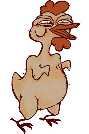 Featherless Chicken Cartoonのイラスト素材