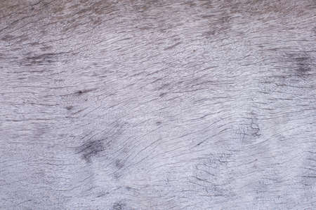 Classic wooden background Texture