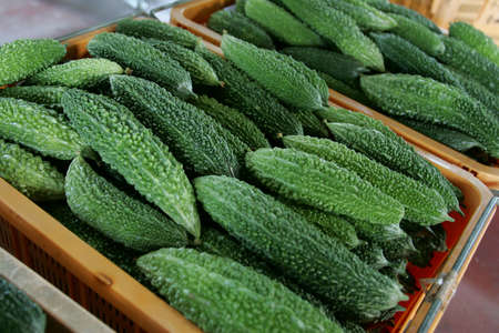 bitter melonの写真素材