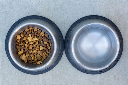 Dog food kibble and water bowlsの写真素材